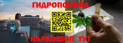 сатива Пенза