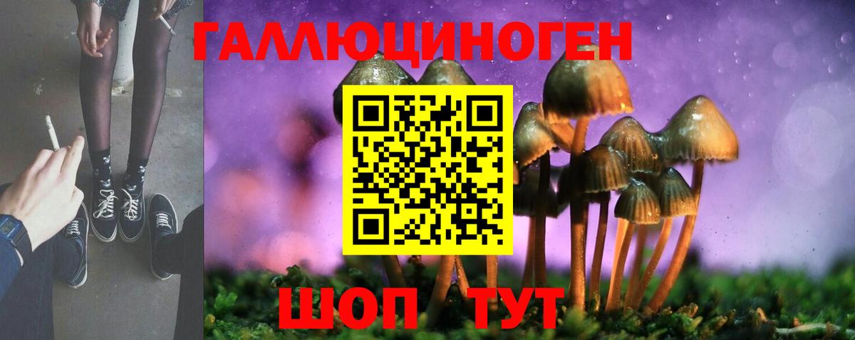 Псилоцибиновые грибы GOLDEN TEACHER Самара